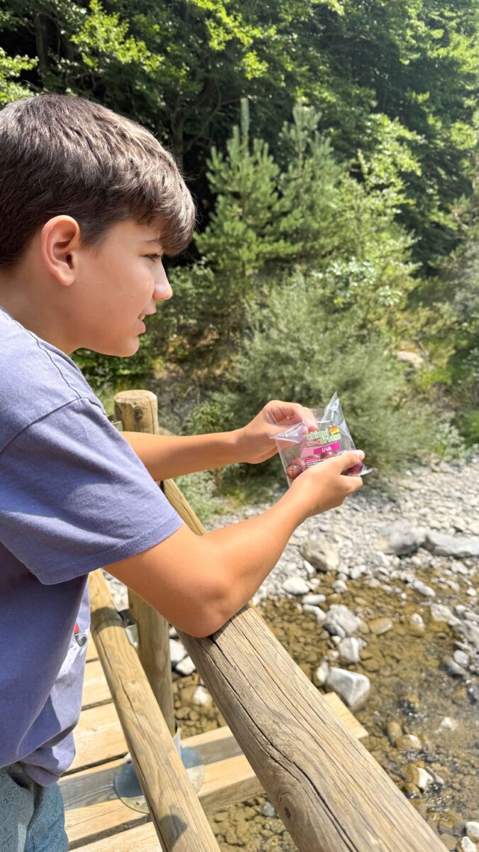 Niño comiendo fruta fresca de excursión